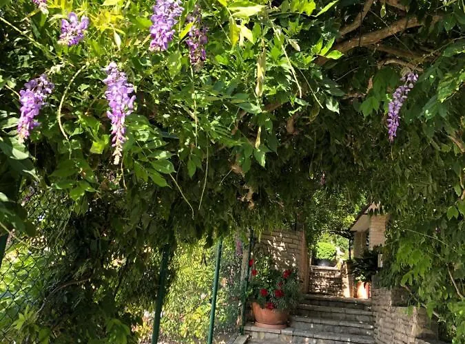 Διαμέρισμα Goga