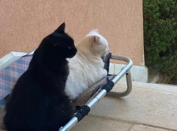 Goga Διαμέρισμα *