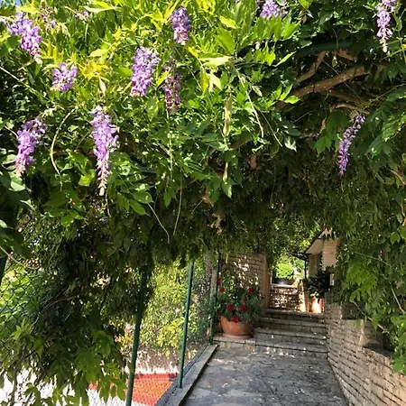 Apartament Goga