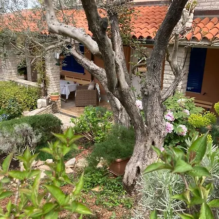 Goga Apartament