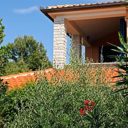 Goga Apartament *