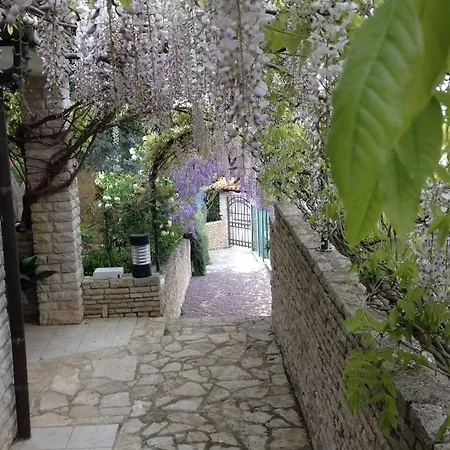 Apartament Goga *